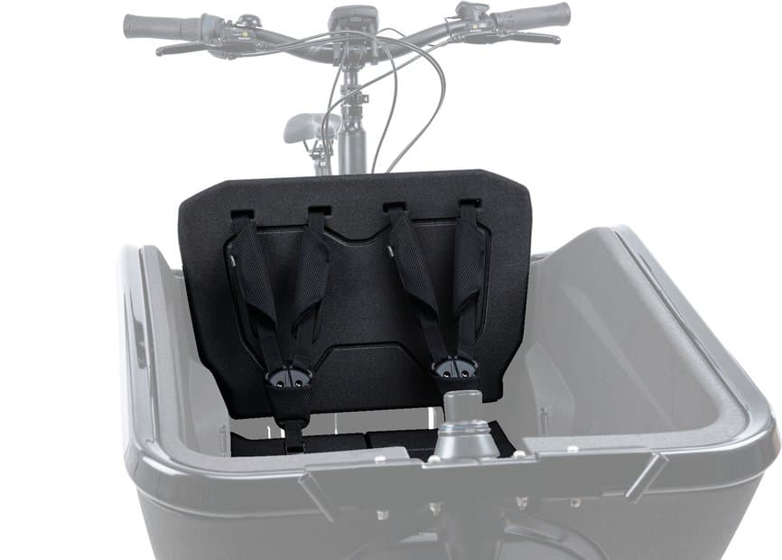 Cube Sicherheitsgurt CARGO Schwarz Modell 2026