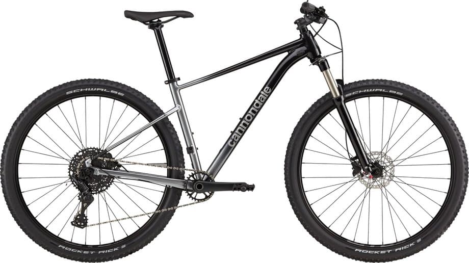 Cannondale Trail SL 4 Grau Modell 2024
