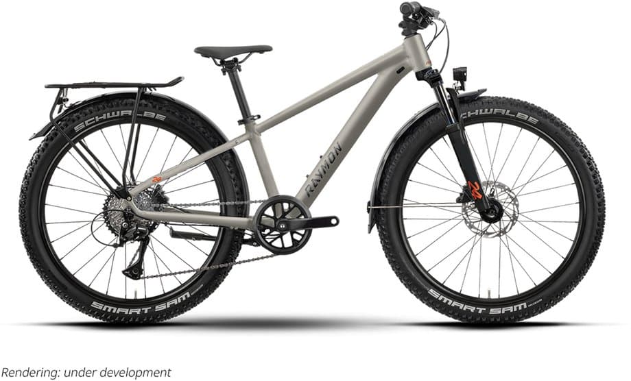 Raymon Nayta 24 Pro Street Grau Modell 2026