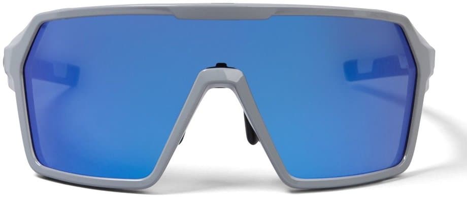 Endura Singletrack Brillenset - Grau Modell 2026
