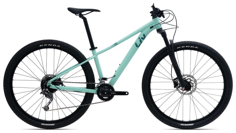 Liv Tempt 2 Blau Modell 2024