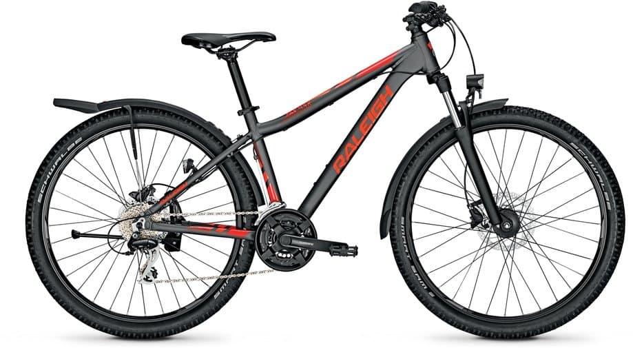 Raleigh Daymax Grau Modell Aktion