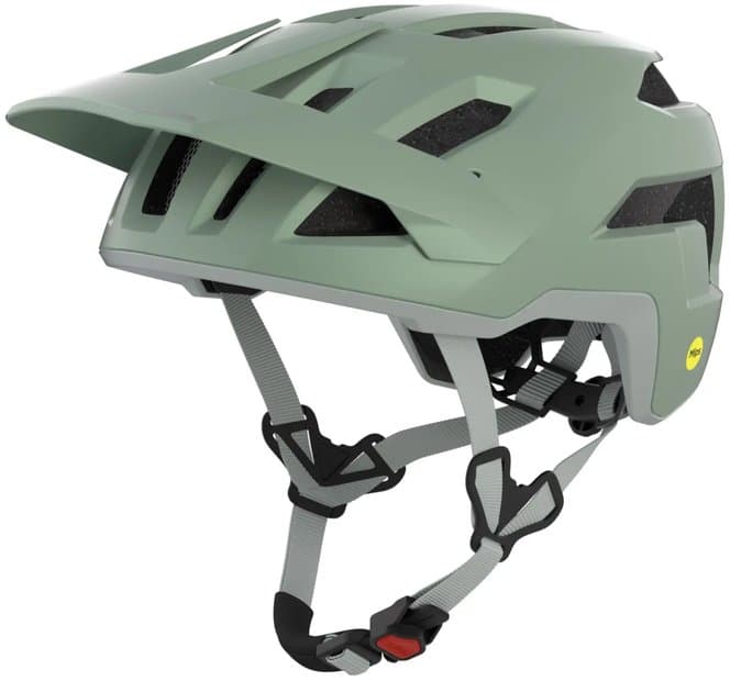 Alpina Taunus MIPS Grün Modell 2026