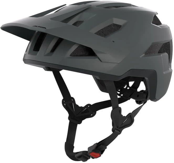 Alpina Taunus Grau Modell 2026