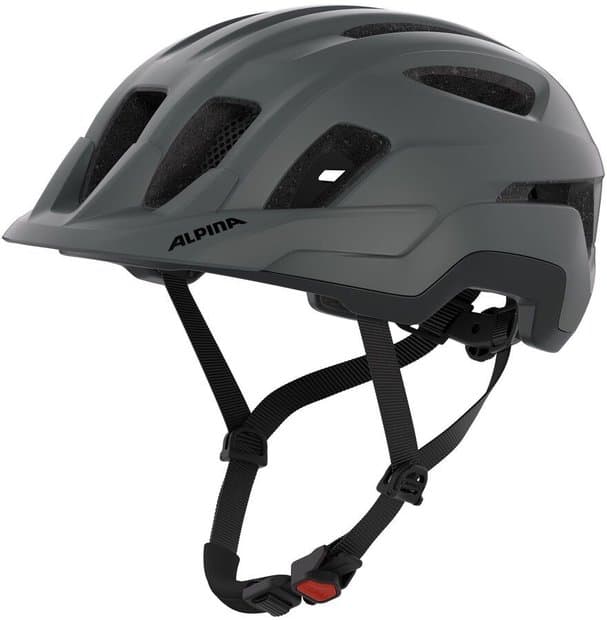 Alpina Paranus Grau Modell 2026