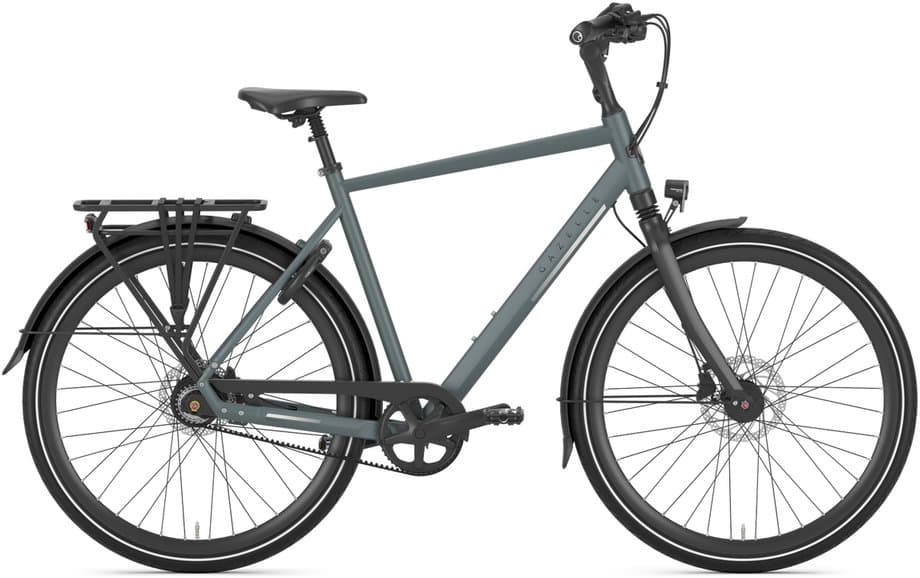 Gazelle Chamonix S8 Grün Modell 2026