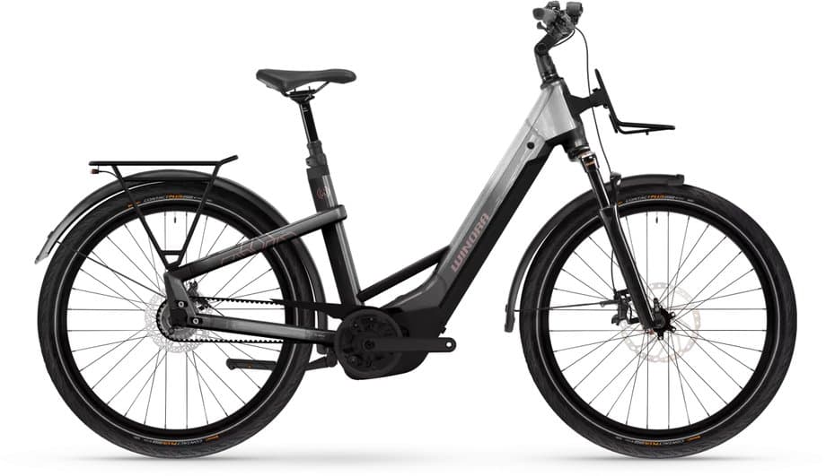 Winora Yakun R5 Pro Grau Modell 2026