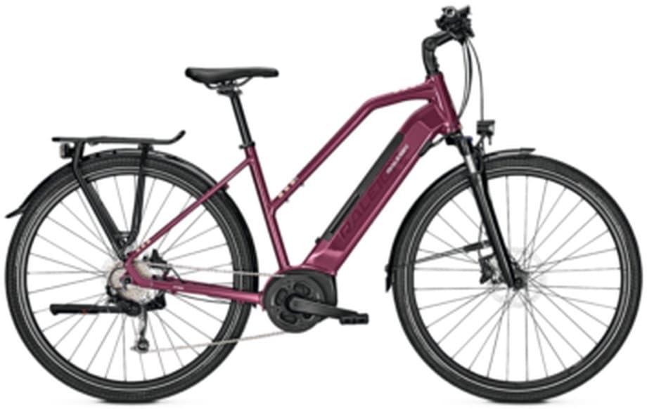 Raleigh Kent 9 Rot Modell Aktion