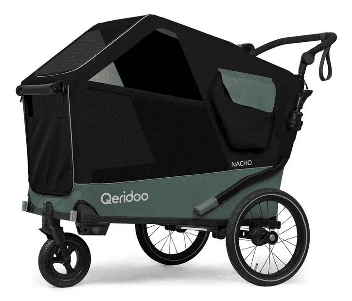 Qeridoo Nacho L Green Grün Modell 2025