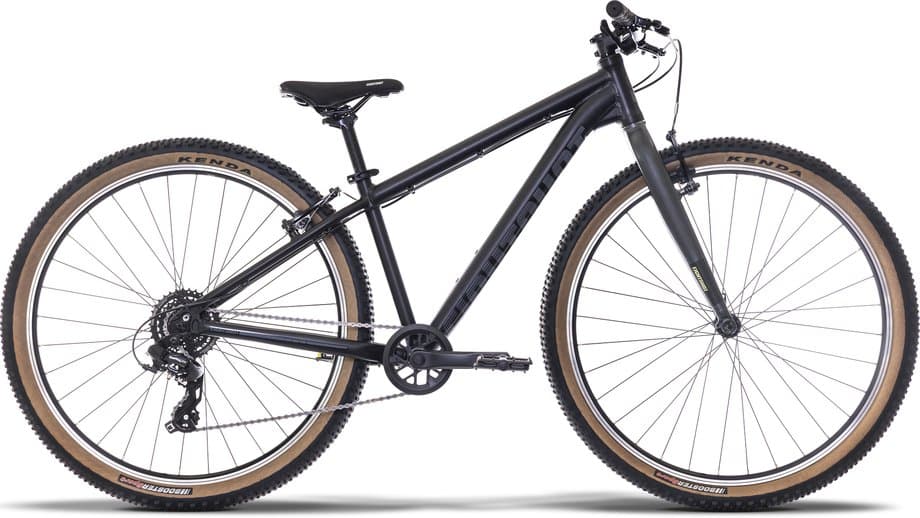 Eightshot Coady 275 SL Blau Modell 2026
