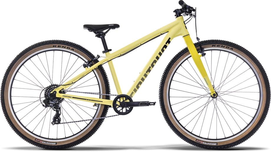 Eightshot Coady 275 SL Gelb Modell 2026