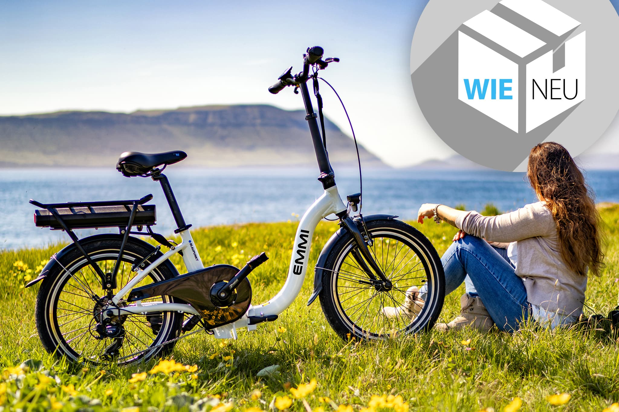 Blaupunkt EMMI® (Versandrückläufer, unbenutzt wie neu)