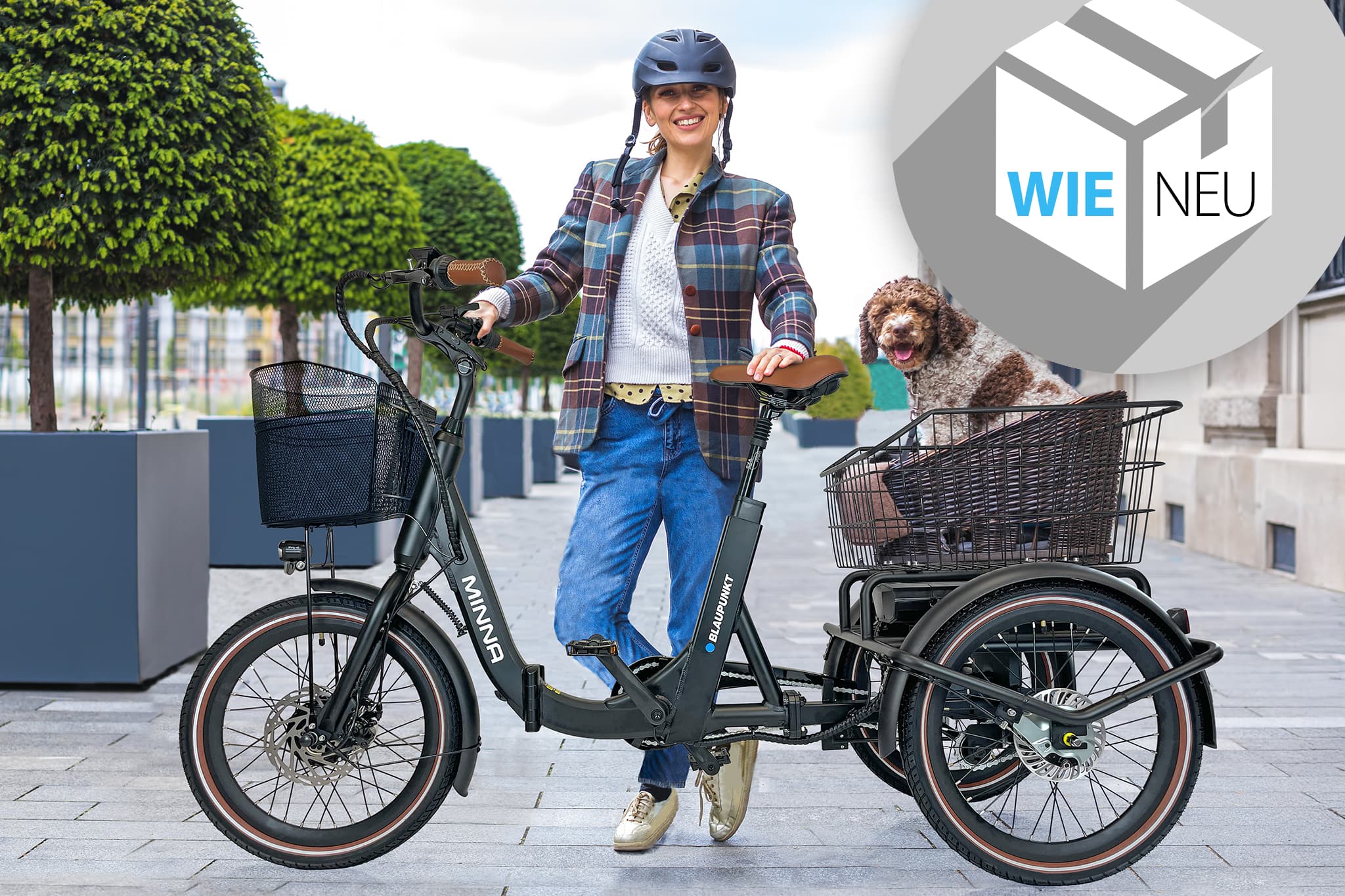 Blaupunkt MINNA® E-Trike (Versandrückläufer, unbenutzt wie neu)